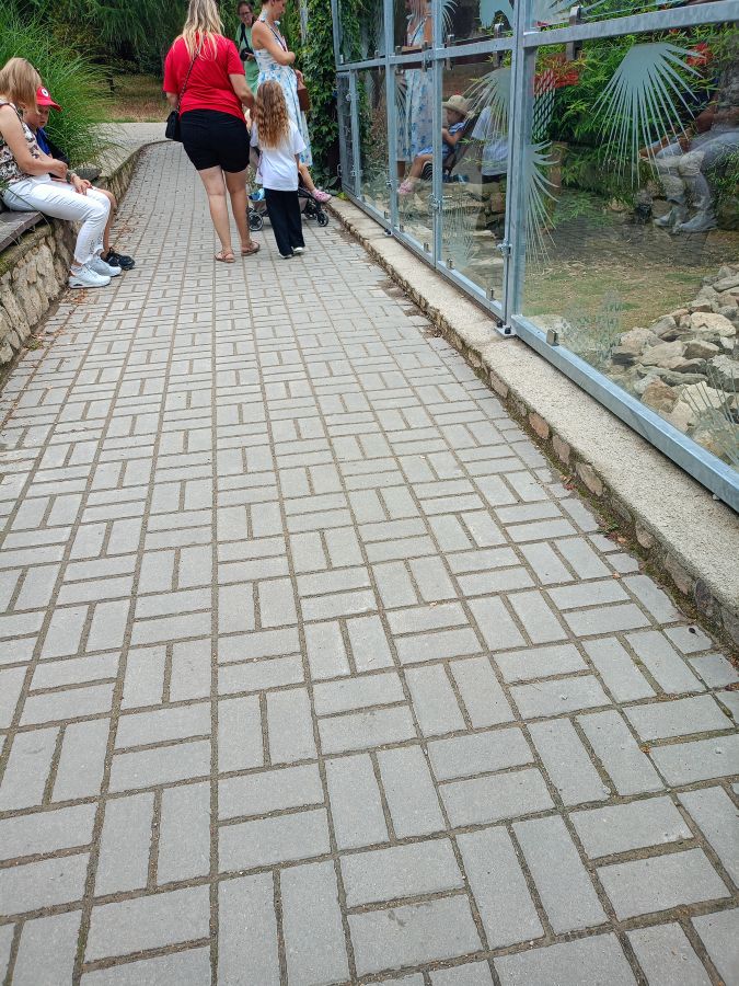 Cesty v&nbsp;ZOO