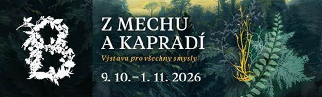 Leták