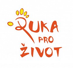 Rukaprozivot